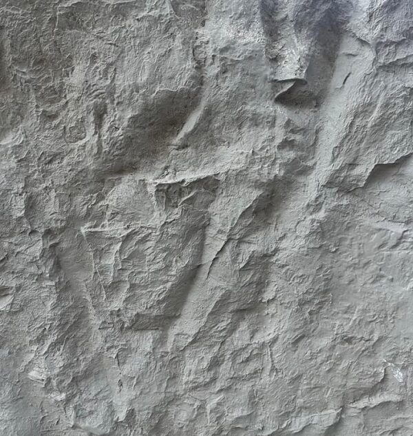 Canyon Smoky Grey taş panel