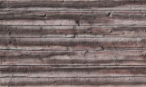 cariato-ebano-444-600x360-1