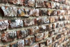 loft-picasso-tugla-gorunumlu-panel-m2-fiyatlari