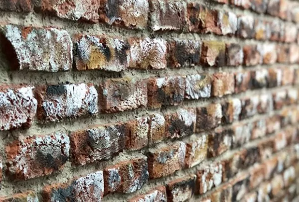 Second image of Loft Picasso tuğla panel